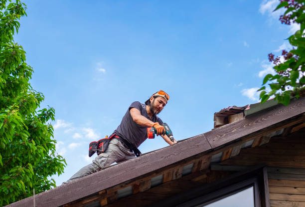 Best Roof Leak Repair  in Hoschton, GA